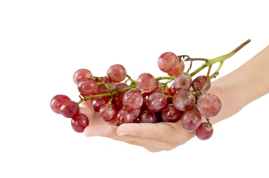 female hand and  red grapes on white background
