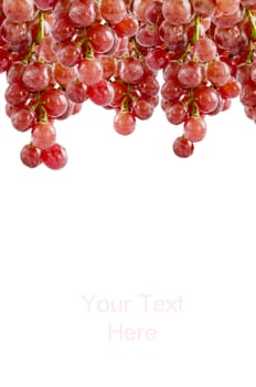 many bunch of fresh red grapes on white background and free space for text