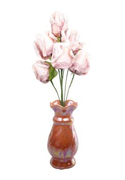 money flower in vase on white background