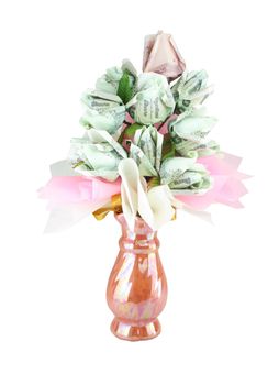 money flower in vase on white background