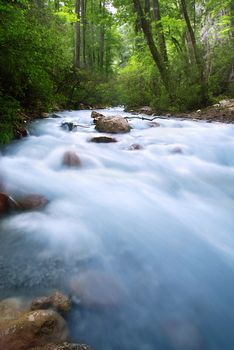 Beautiful wild alpine brook with long exposure in green forest
