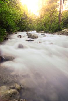 Beautiful wild alpen brook with long exposure at sunset with vegetation in the background