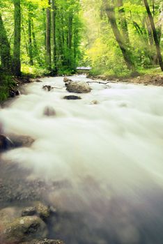 Beautiful wild alpine brook with long exposure at in green forest