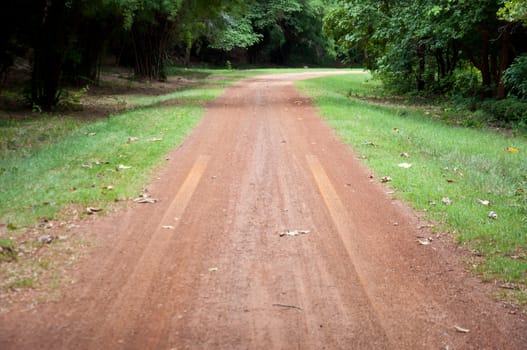 curve road to the mountain