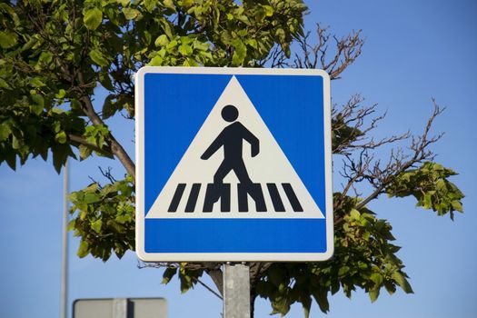 pedestrian peatones signal in a spanish way
