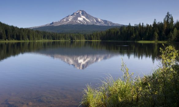 Mountain Lake called Trillium near Mount Hood