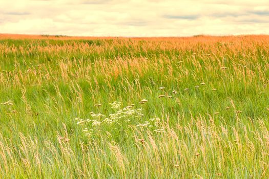 Buffalo Gap National Grasslands is in Western South Dakota near the Badlands and Black Hills