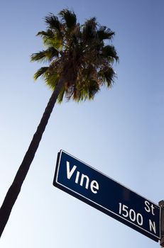 The Famous Vine Street in Los Angeles