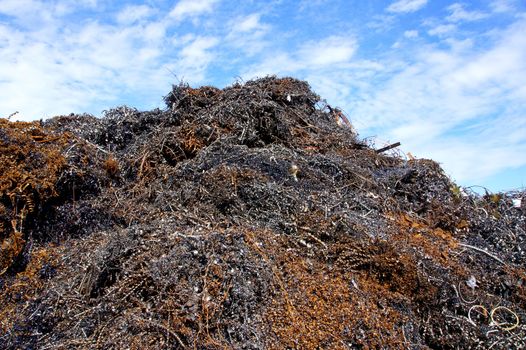 Greater mountain of an old rusty metal shaving