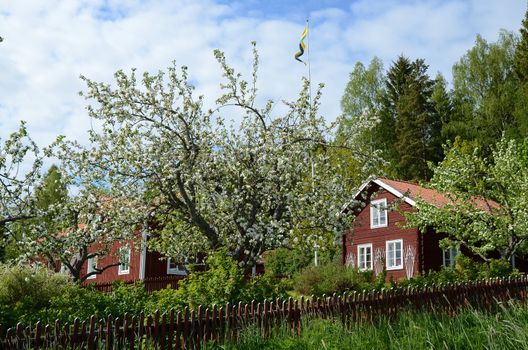 A red cottage with an Apple tree and a red fence in the foreground