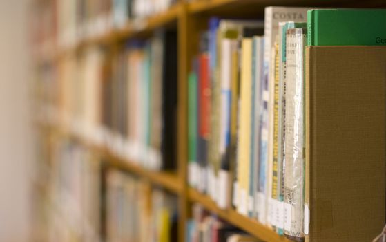 A row of books at the library