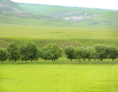 Image of beautiful landscape with green tree