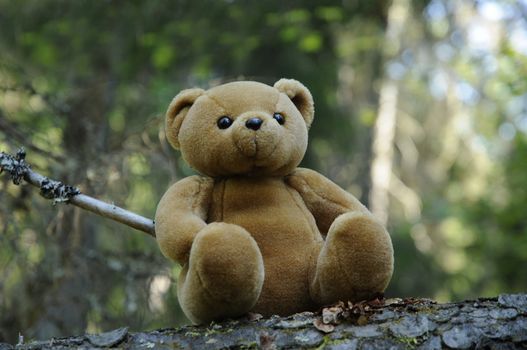 A teddy bear sitting on an old logs out of the forest