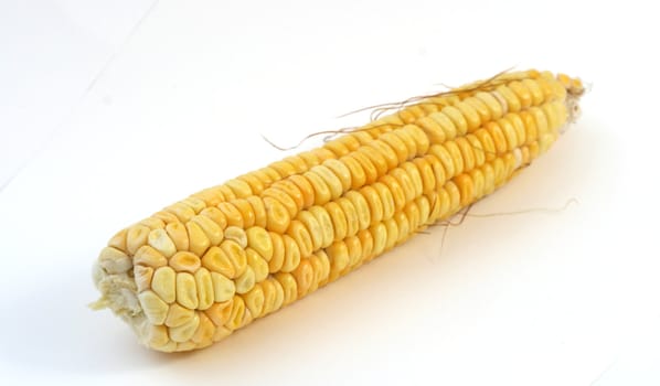 Corn background