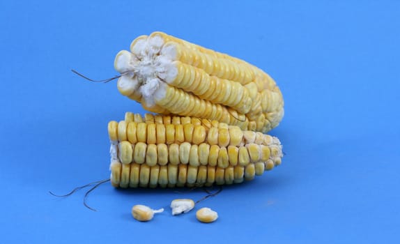 Corn background