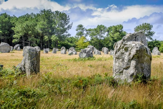 Field of dolmens in Carnac