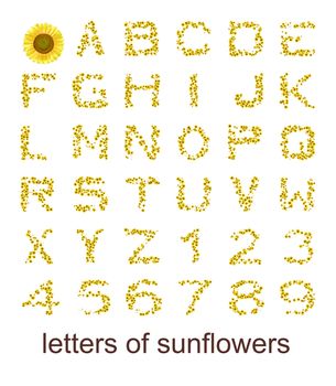 An image with some colorful letters of sunflowers