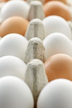 Closeup of white and brown eggs in carton