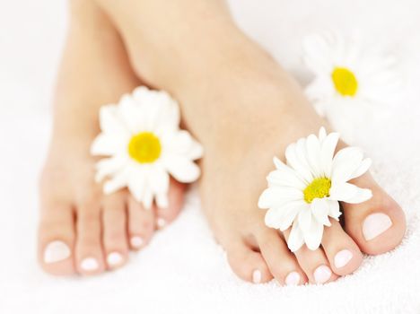 Soft female feet with pedicure and flowers close up