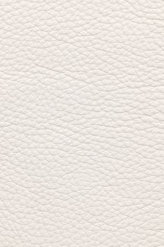 White natural leather background or texture close up