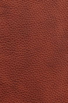 Brown natural leather background or texture close up