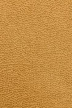 Yellow or light brown natural leather background or texture close up