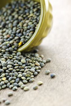 Bowl full of raw french green lentils