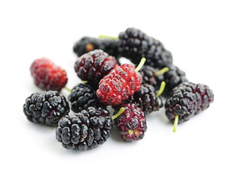 Fresh ripe mulberry berries isolated on white background