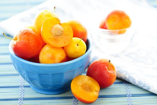 Fresh yellow ripe plums in a bowl