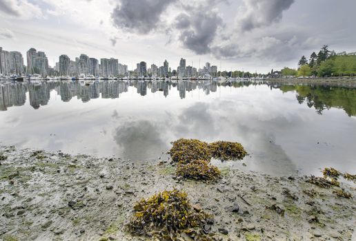 Low Tide at False Creek in Stanley Park Vancouver BC Canada