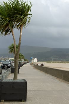 A walkway promenade with walls lined with palm trees on a windy, cloudy day at Barmouth, Gwynedd, Wales, UK.