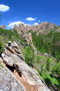 The Black Hills of South Dakota is scattered with rock formations referred to as the Needles.