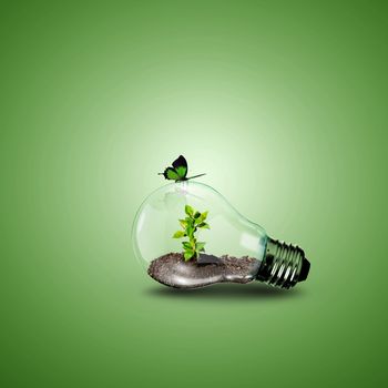 Electric light bulb and a plant inside it as symbol of green energy