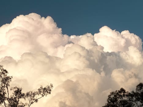 Weather Science meteorology,white fluffy towering cumulus storm cloud bank
