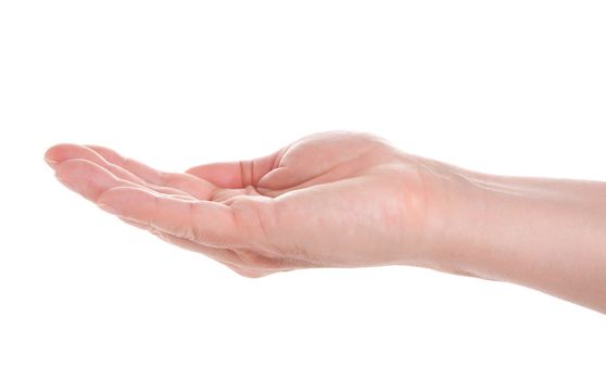 Empty open man hand, isolated on white background