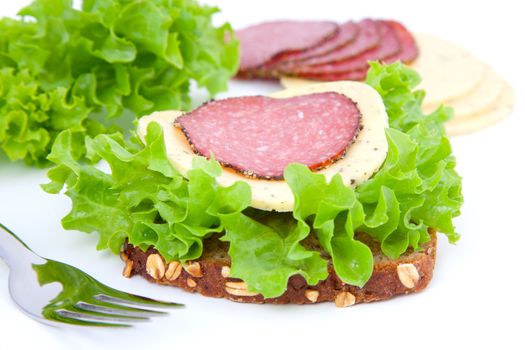 Close up of a healthy sandwich