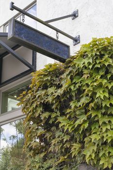 Storefront Retail Commercial Space Blank Sign with Boston Ivy on Exterior Wall Angled