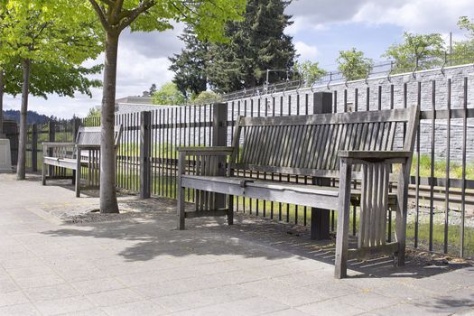 Wooden Park Benches Under the Trees in Public Parks