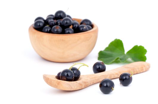 fresh black currants in a wooden spoon, over a white background.