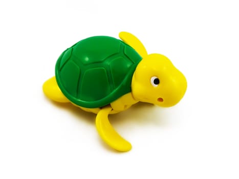 Turtle on a white background isolated objects