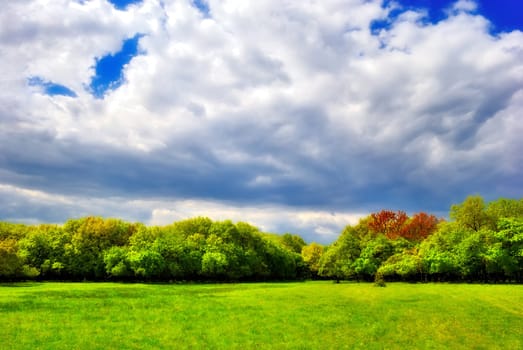 cloudy sky over the green spring forest