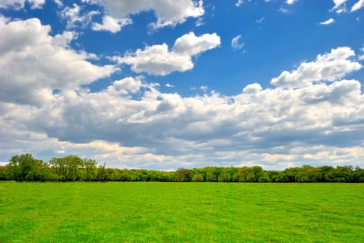 Spring green field under blue cloudy sky