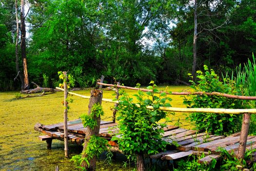 The old wooden bridge on the bank of a wetland pond