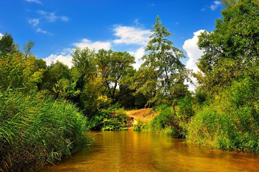 River in the forest in summer under a blue cloudy sky