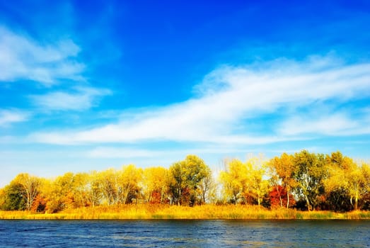 Autumn trees by the river under the blue sky