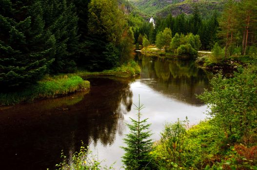 A quiet river in the forest in early autumn