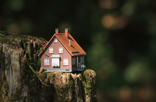 Photograph of a house model in the woods