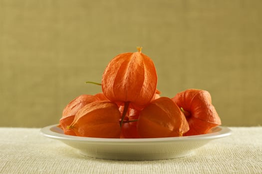 heap of orange fruits on white plate with hard material on background 