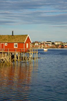 Typical red rorbu hut with sod roof in town of Reine on Lofoten islands in Norway