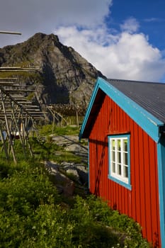 Picturesque red fishing hut with racks for drying stockfish on Lofoten islands in Norway